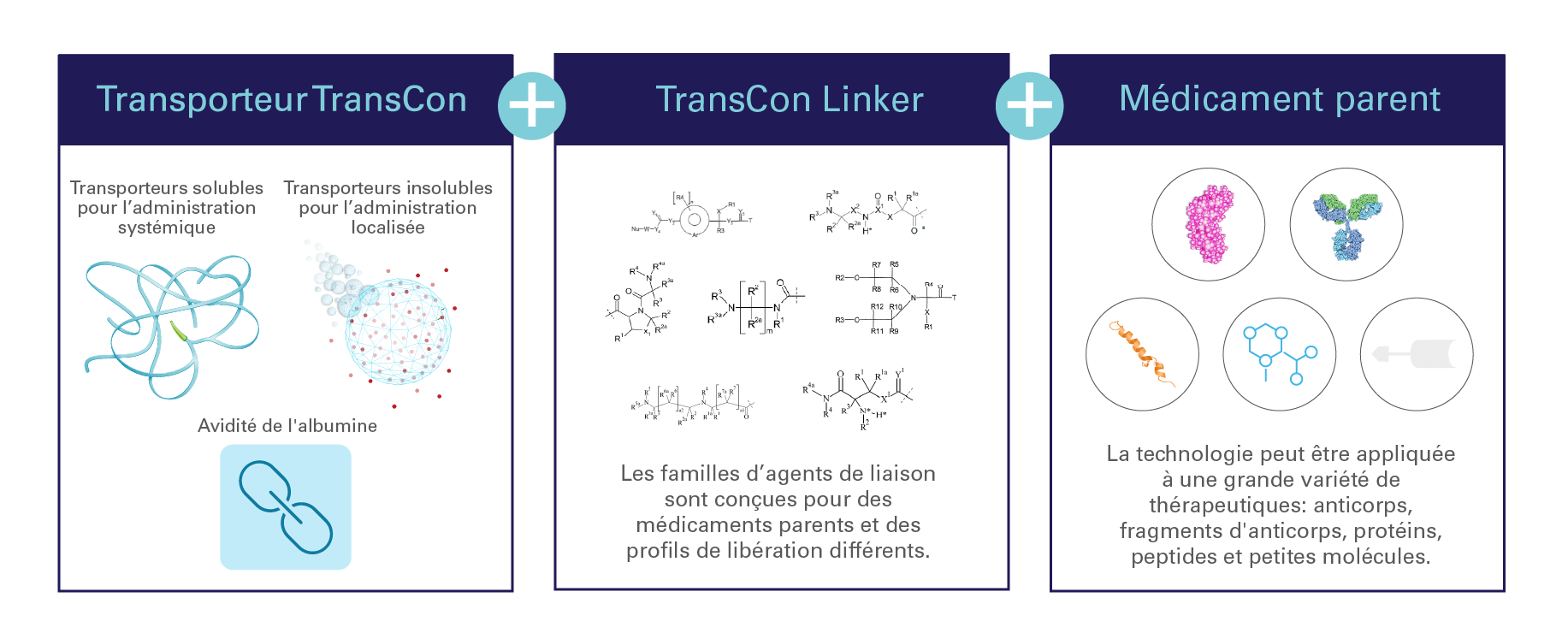TCTechnologyTransientConjugationGraphic_FR_20250808